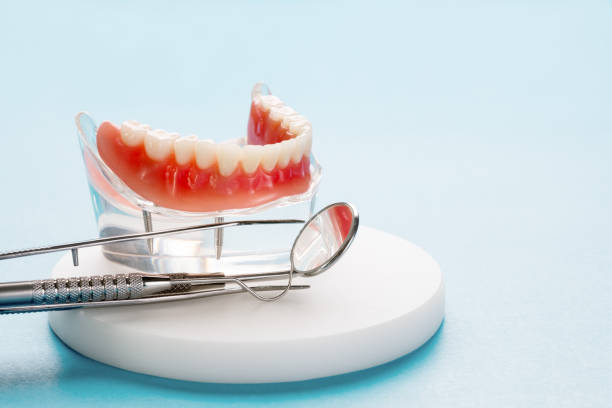 Trusted Moores Mill, AL Holistic Dental Care Services Experts